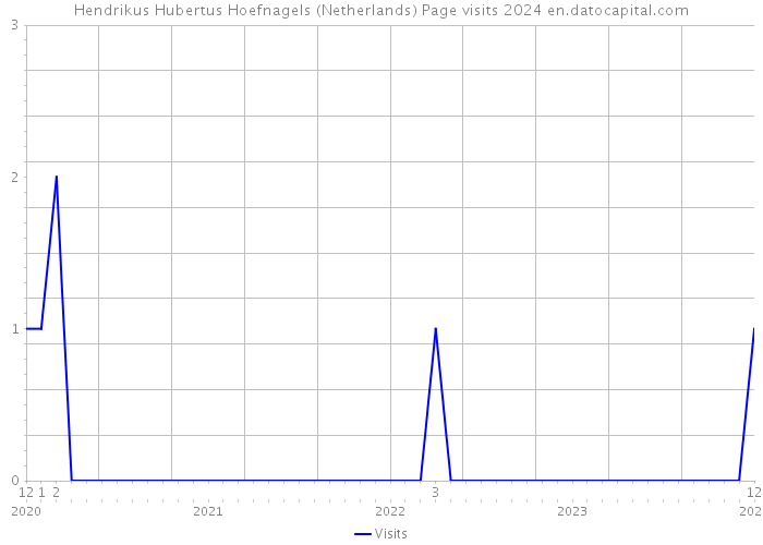 Hendrikus Hubertus Hoefnagels (Netherlands) Page visits 2024 