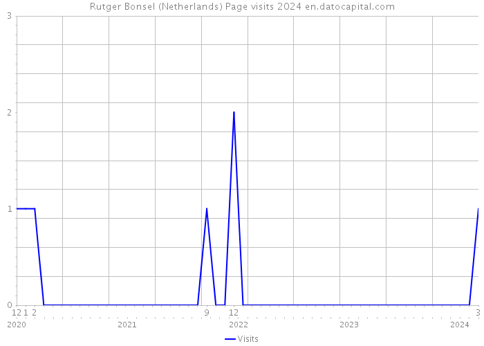 Rutger Bonsel (Netherlands) Page visits 2024 