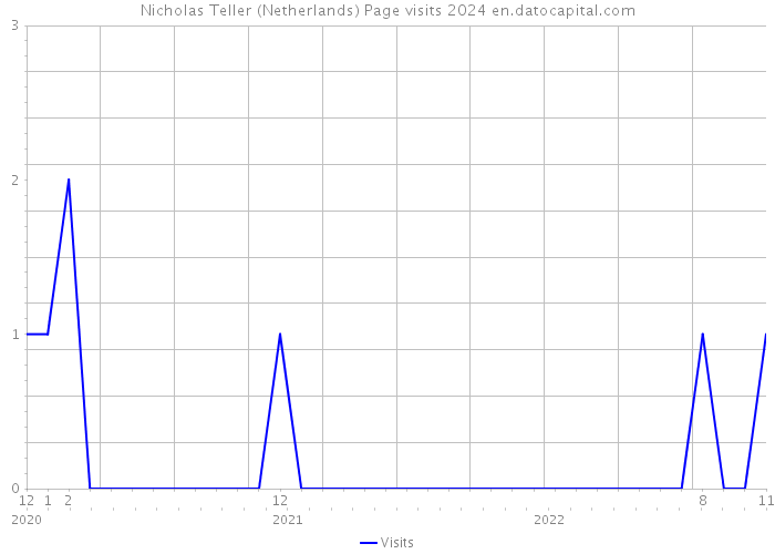 Nicholas Teller (Netherlands) Page visits 2024 