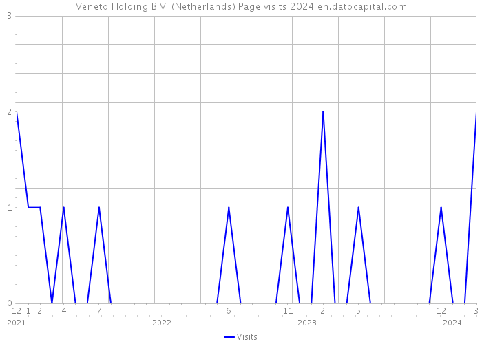 Veneto Holding B.V. (Netherlands) Page visits 2024 