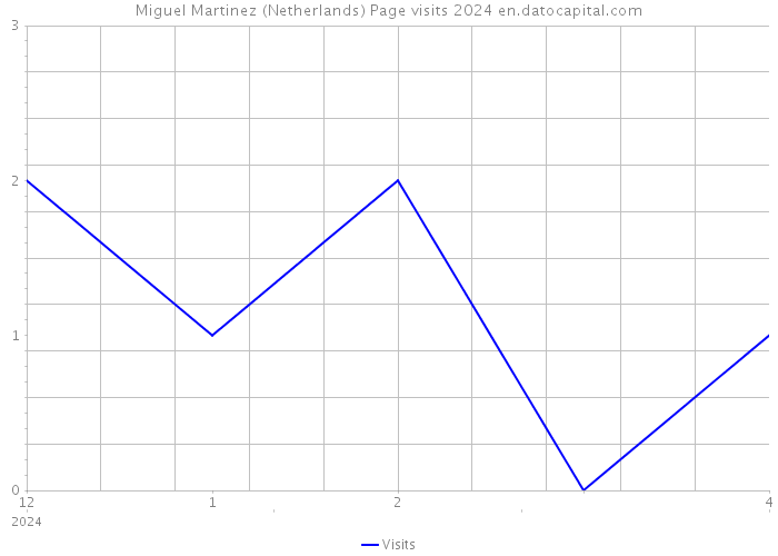 Miguel Martinez (Netherlands) Page visits 2024 