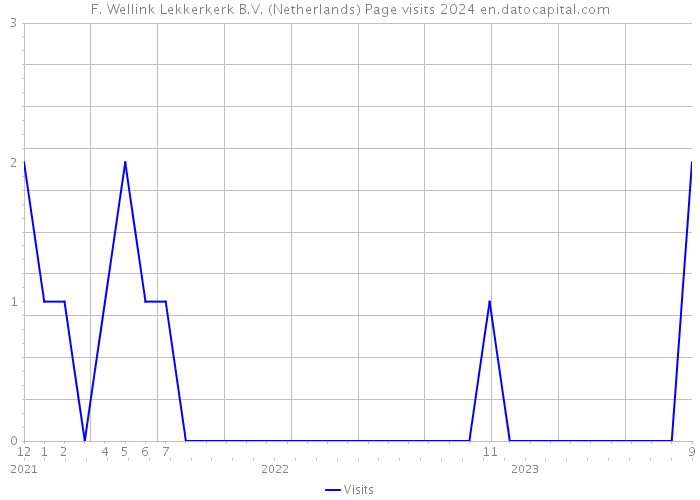 F. Wellink Lekkerkerk B.V. (Netherlands) Page visits 2024 