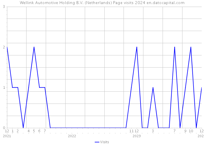 Wellink Automotive Holding B.V. (Netherlands) Page visits 2024 