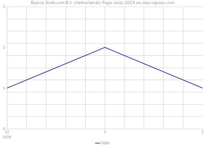 Bianca Slotboom B.V. (Netherlands) Page visits 2024 