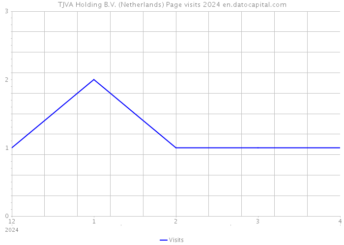 TJVA Holding B.V. (Netherlands) Page visits 2024 