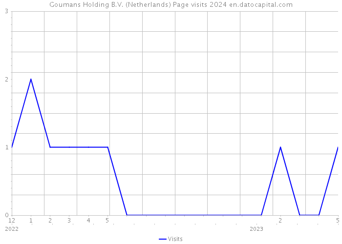 Goumans Holding B.V. (Netherlands) Page visits 2024 