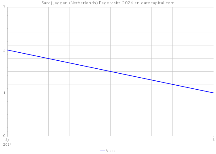 Saroj Jaggan (Netherlands) Page visits 2024 