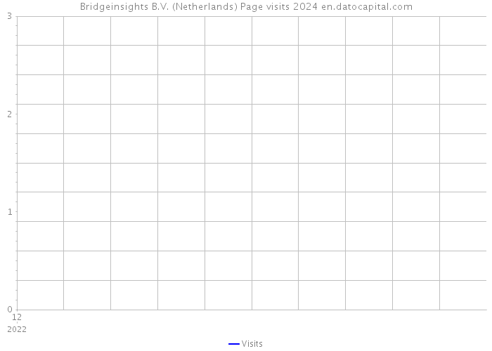 Bridgeinsights B.V. (Netherlands) Page visits 2024 