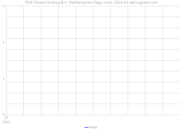 TKM Global Holding B.V. (Netherlands) Page visits 2024 
