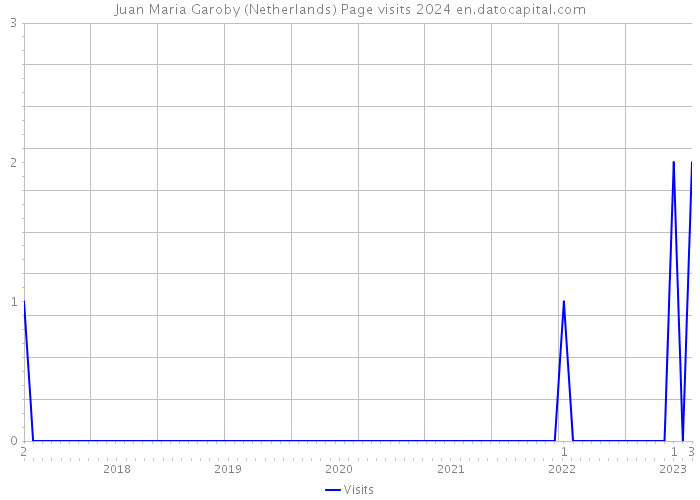 Juan Maria Garoby (Netherlands) Page visits 2024 