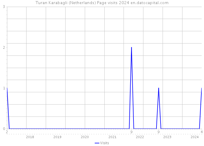 Turan Karabagli (Netherlands) Page visits 2024 