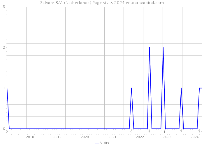 Salvare B.V. (Netherlands) Page visits 2024 