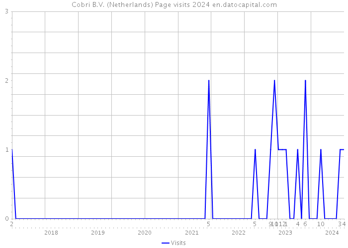 Cobri B.V. (Netherlands) Page visits 2024 