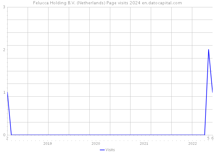 Felucca Holding B.V. (Netherlands) Page visits 2024 
