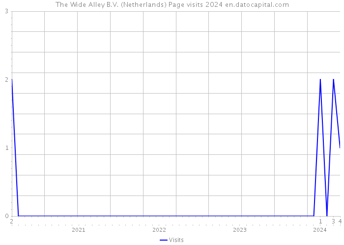 The Wide Alley B.V. (Netherlands) Page visits 2024 