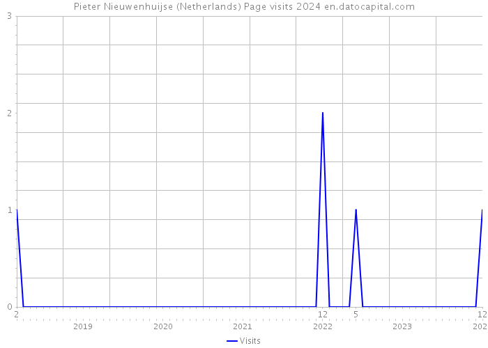 Pieter Nieuwenhuijse (Netherlands) Page visits 2024 