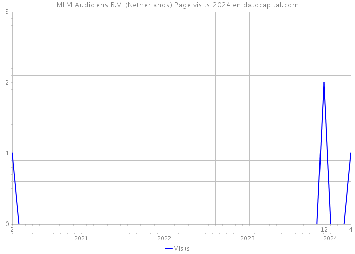 MLM Audiciëns B.V. (Netherlands) Page visits 2024 