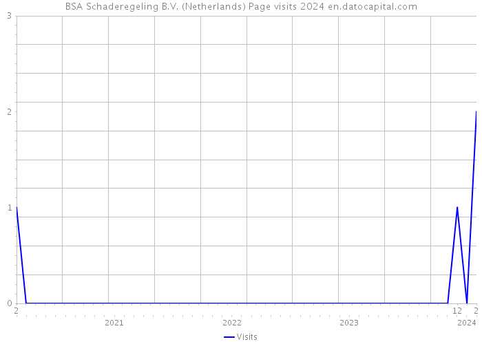 BSA Schaderegeling B.V. (Netherlands) Page visits 2024 