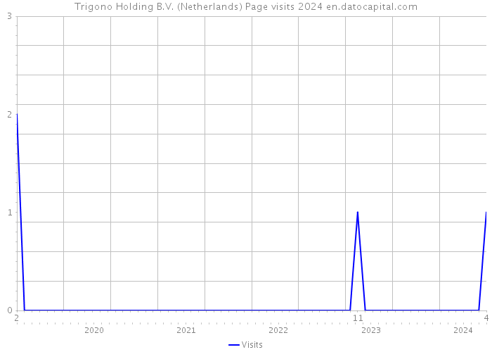 Trigono Holding B.V. (Netherlands) Page visits 2024 