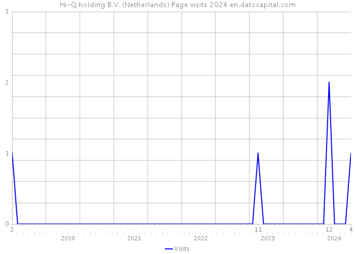 Hi-Q holding B.V. (Netherlands) Page visits 2024 