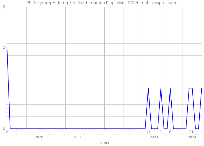 PP Recycling Holding B.V. (Netherlands) Page visits 2024 