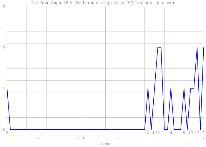 Tao Yuan Capital B.V. (Netherlands) Page visits 2024 