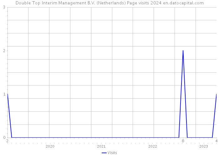 Double Top Interim Management B.V. (Netherlands) Page visits 2024 