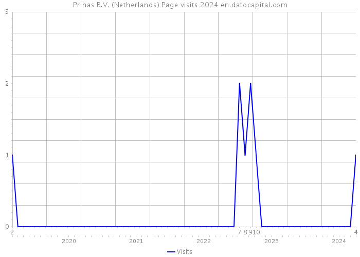 Prinas B.V. (Netherlands) Page visits 2024 