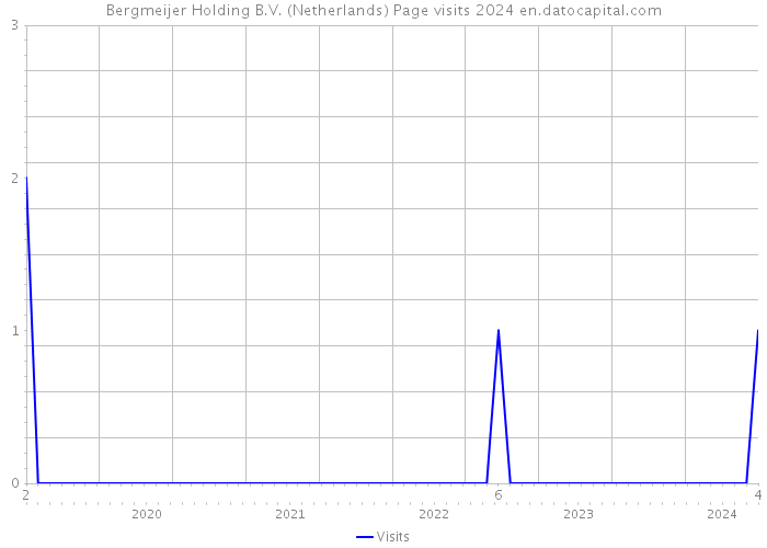 Bergmeijer Holding B.V. (Netherlands) Page visits 2024 