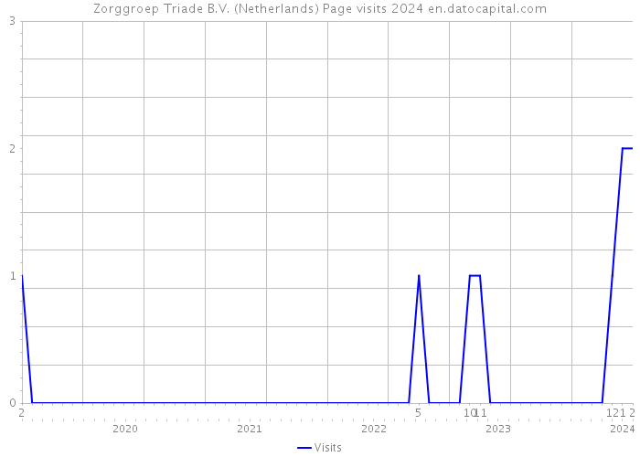 Zorggroep Triade B.V. (Netherlands) Page visits 2024 