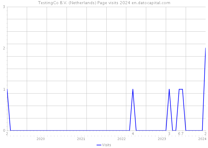 TestingCo B.V. (Netherlands) Page visits 2024 