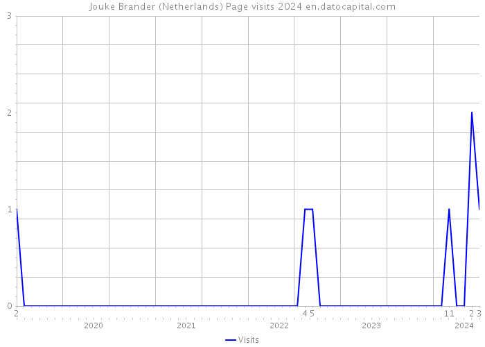 Jouke Brander (Netherlands) Page visits 2024 