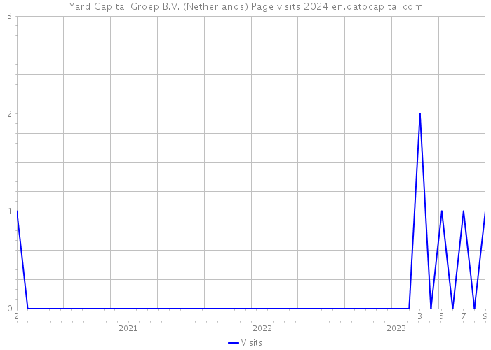 Yard Capital Groep B.V. (Netherlands) Page visits 2024 