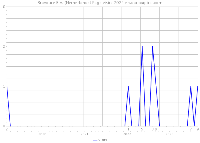 Bravoure B.V. (Netherlands) Page visits 2024 