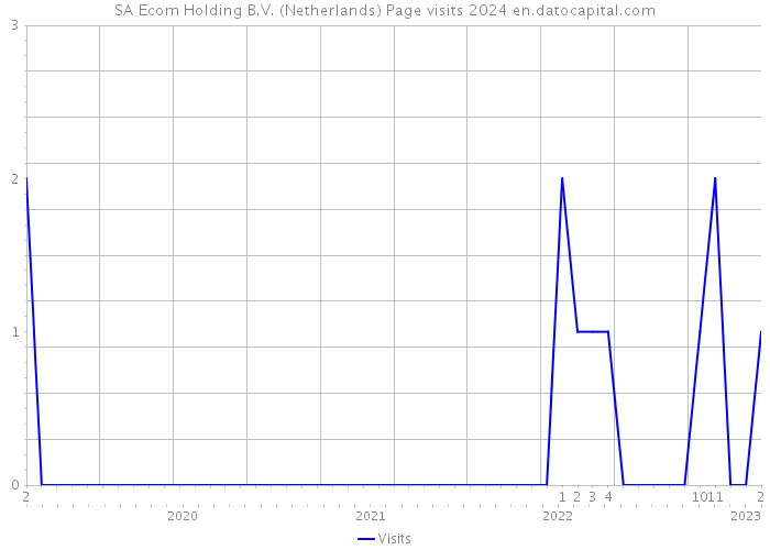SA Ecom Holding B.V. (Netherlands) Page visits 2024 