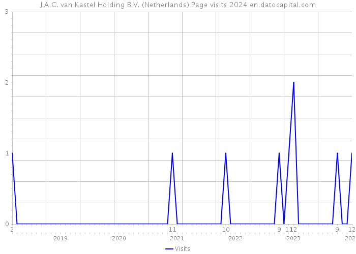 J.A.C. van Kastel Holding B.V. (Netherlands) Page visits 2024 