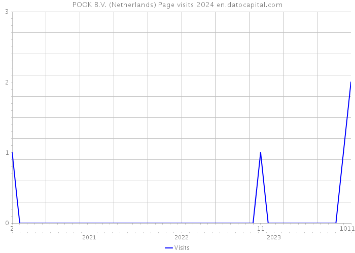 POOK B.V. (Netherlands) Page visits 2024 