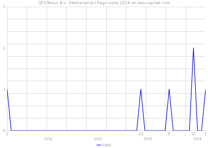 QFS Belux B.V. (Netherlands) Page visits 2024 