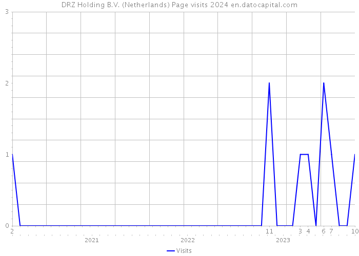 DRZ Holding B.V. (Netherlands) Page visits 2024 