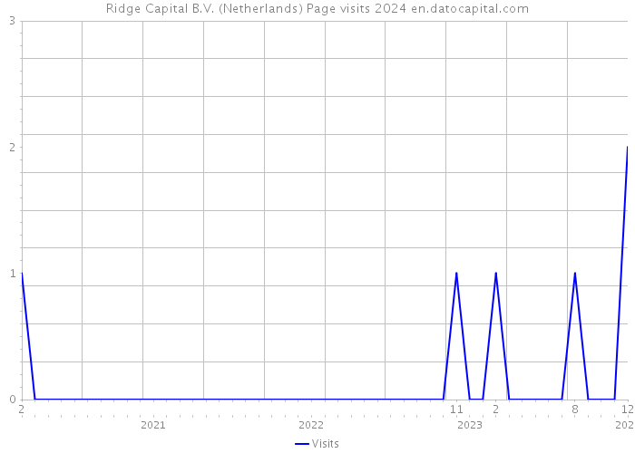Ridge Capital B.V. (Netherlands) Page visits 2024 