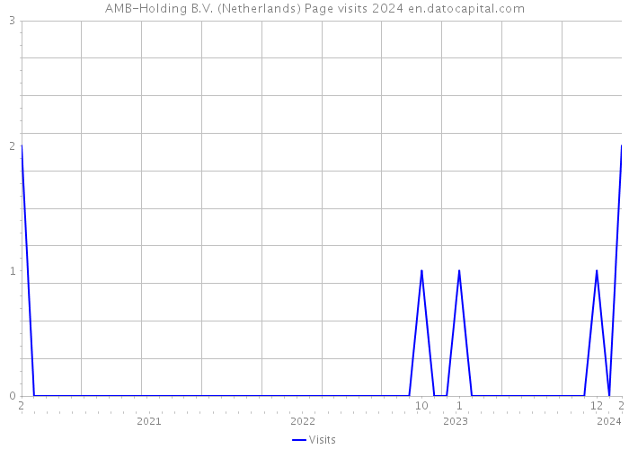 AMB-Holding B.V. (Netherlands) Page visits 2024 