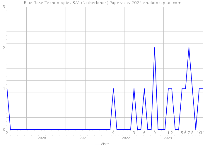 Blue Rose Technologies B.V. (Netherlands) Page visits 2024 