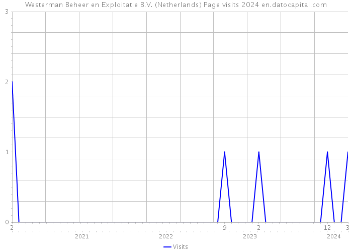 Westerman Beheer en Exploitatie B.V. (Netherlands) Page visits 2024 