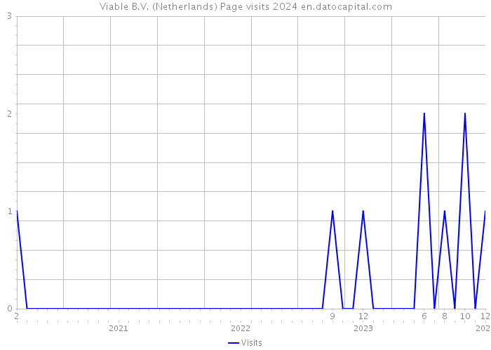 Viable B.V. (Netherlands) Page visits 2024 