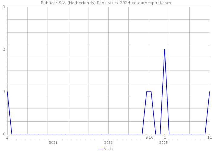 Publicar B.V. (Netherlands) Page visits 2024 