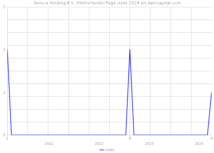 Seneca Holding B.V. (Netherlands) Page visits 2024 