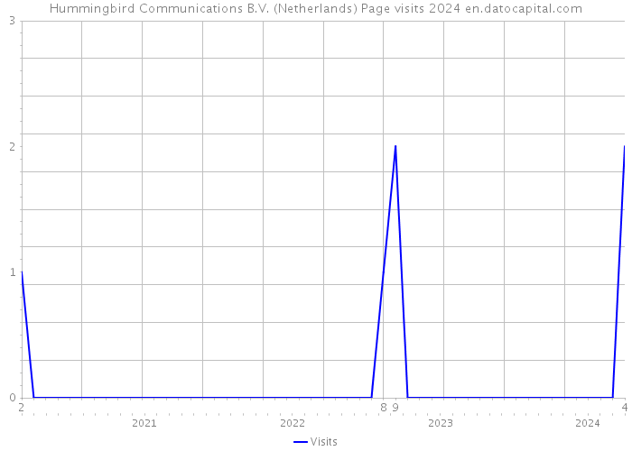 Hummingbird Communications B.V. (Netherlands) Page visits 2024 