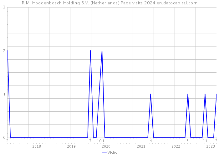 R.M. Hoogenbosch Holding B.V. (Netherlands) Page visits 2024 