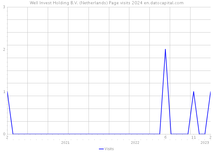 Well Invest Holding B.V. (Netherlands) Page visits 2024 