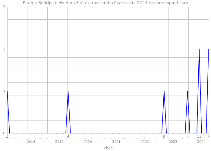 Budget Bedrijven Holding B.V. (Netherlands) Page visits 2024 
